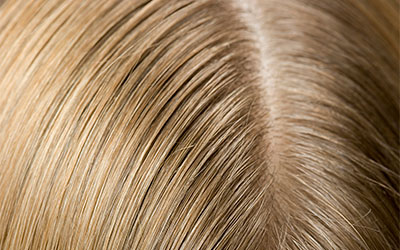 Pose de la coloration végétale Marcapar