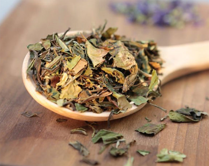 Pplantes coloration bio Marcapar